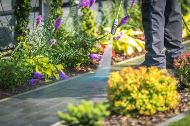 Reliable Kahoka, MO Pressure Washing Services Solutions